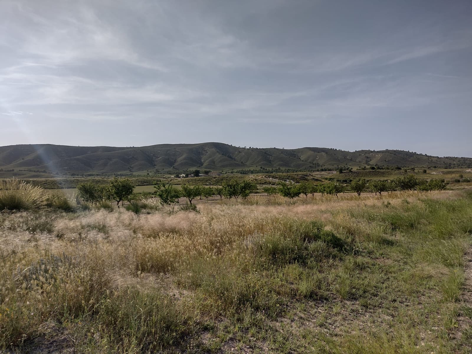 3 bedroom Finca/Country House for sale in Jumilla with pool - € 200,000 (Ref: 6869393)