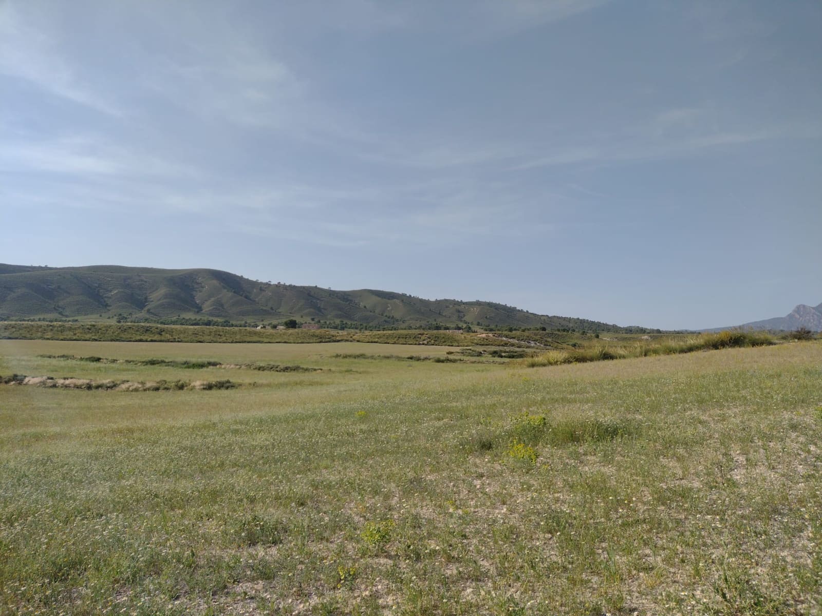 3 bedroom Finca/Country House for sale in Jumilla with pool - € 200,000 (Ref: 6869393)