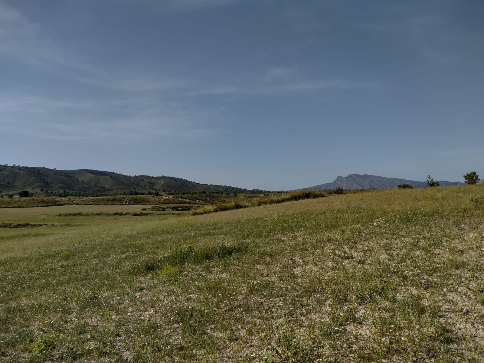 3 bedroom Finca/Country House for sale in Jumilla with pool - € 200,000 (Ref: 6869393)