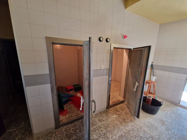 4 bedroom Restaurant/Bar for sale in Pinoso with pool - € 350,000 (Ref: 7046286)