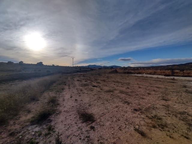 Undeveloped Land for sale in Lel, Pinoso - € 60,000 (Ref: 7241730)