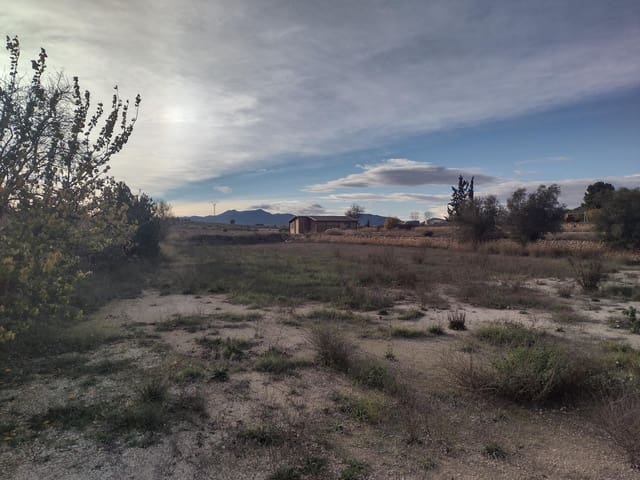 Undeveloped Land for sale in Lel, Pinoso - € 60,000 (Ref: 7241730)