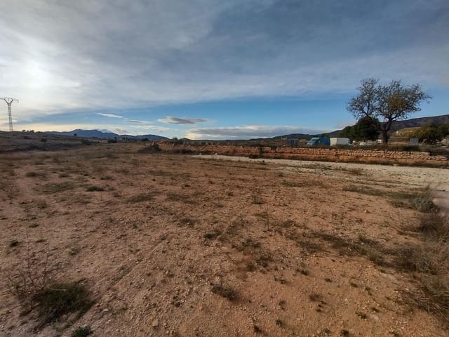Undeveloped Land for sale in Lel, Pinoso - € 60,000 (Ref: 7241730)