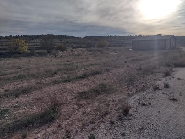Undeveloped Land for sale in Lel, Pinoso - € 60,000 (Ref: 7241730)