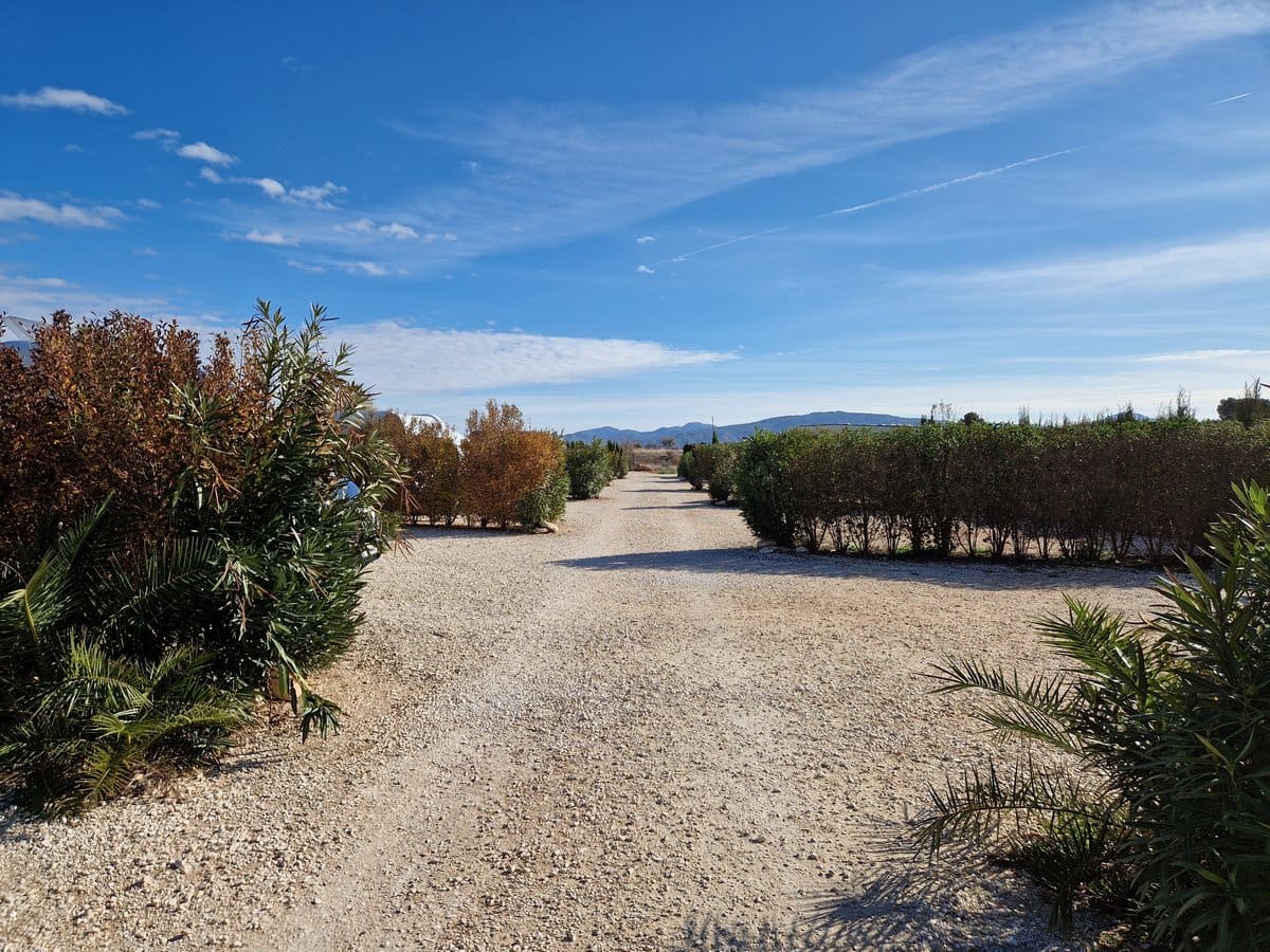 3 soveværelse Finca/Landehus til salg i Pinoso med swimmingpool - € 349.500 (Ref: 7324431)