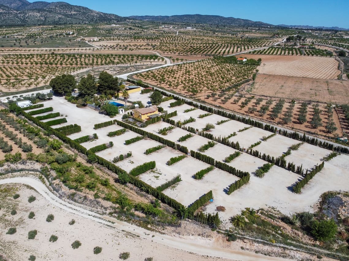 3 soveværelse Finca/Landehus til salg i Pinoso med swimmingpool - € 349.500 (Ref: 7324431)