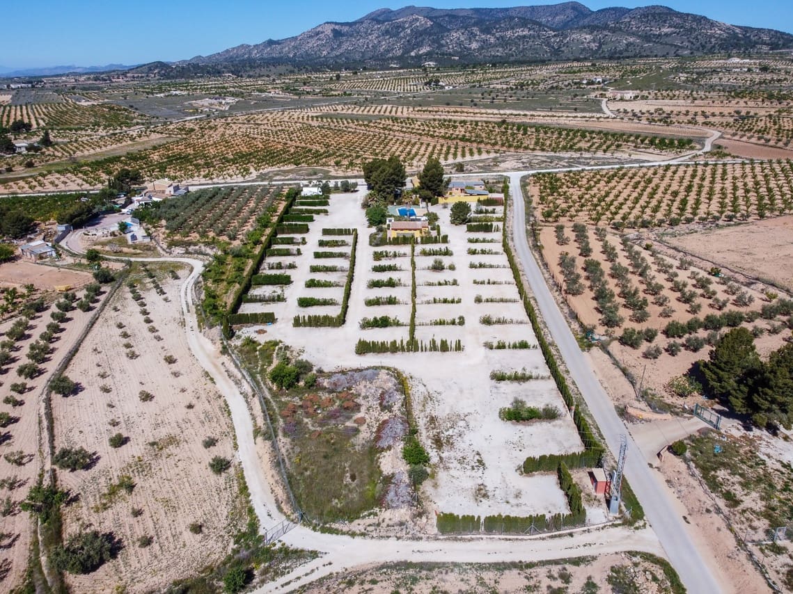 3 soveværelse Finca/Landehus til salg i Pinoso med swimmingpool - € 349.500 (Ref: 7324431)