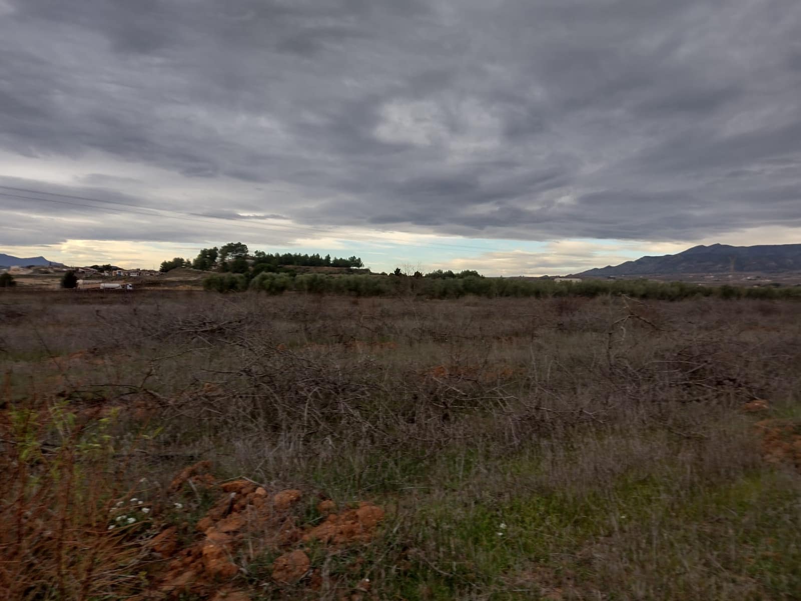 Undeveloped Land for sale in Pinoso - € 79,950 (Ref: 7344862)