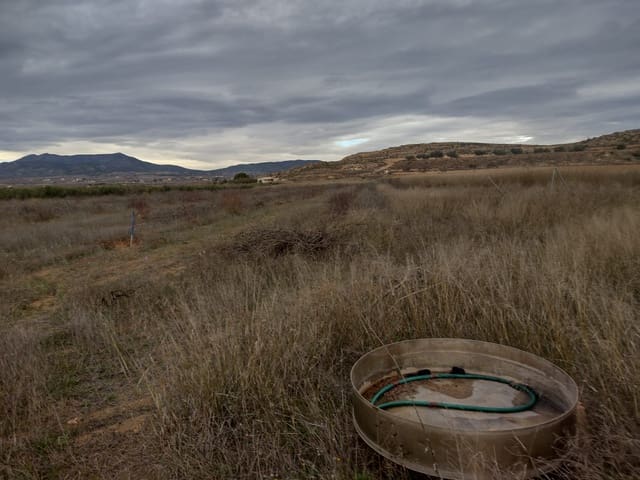 Grunde uden byggetilladelser til salg i Pinoso - € 79.950 (Ref: 7344862)