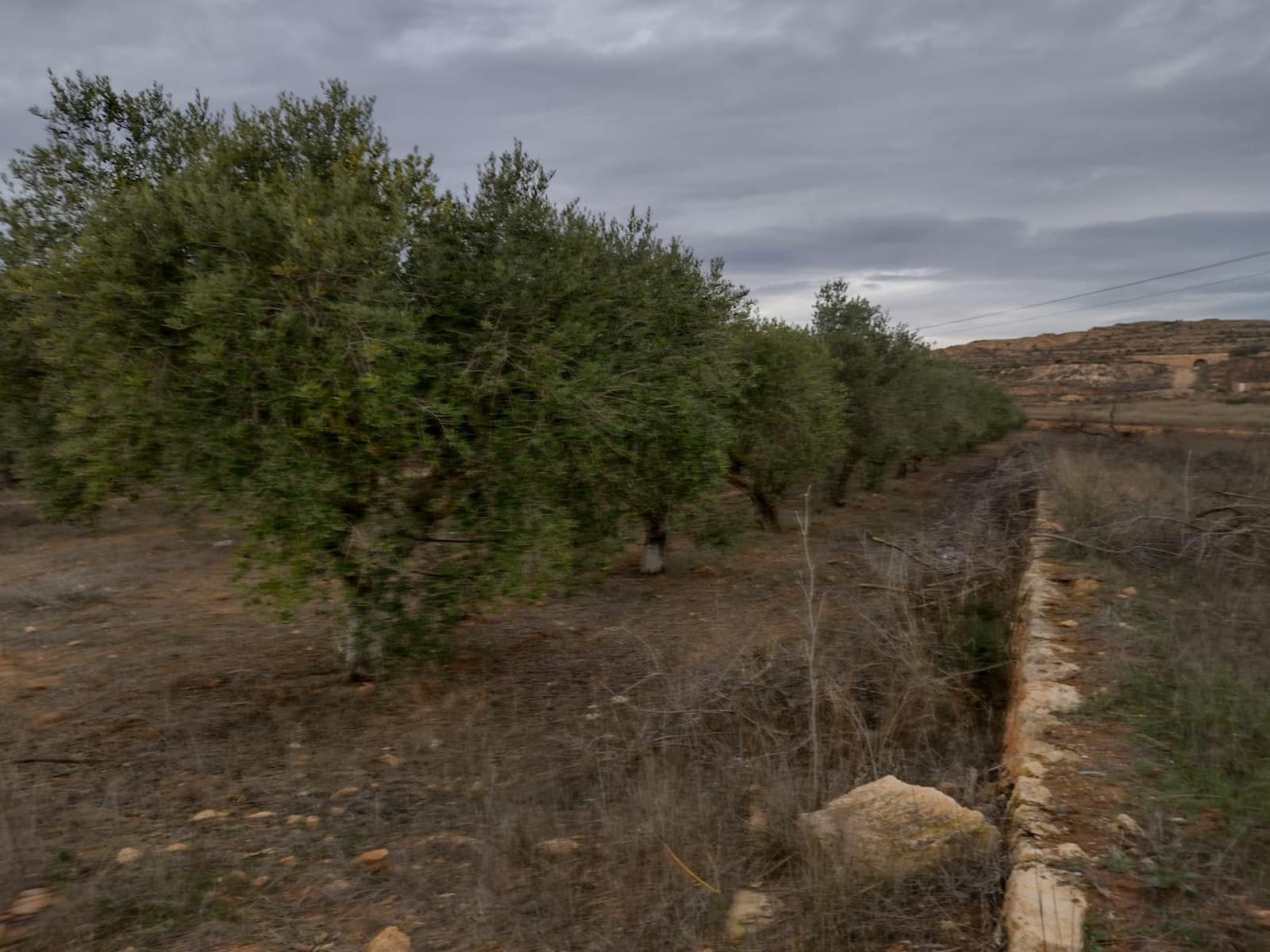 Undeveloped Land for sale in Pinoso - € 79,950 (Ref: 7344862)