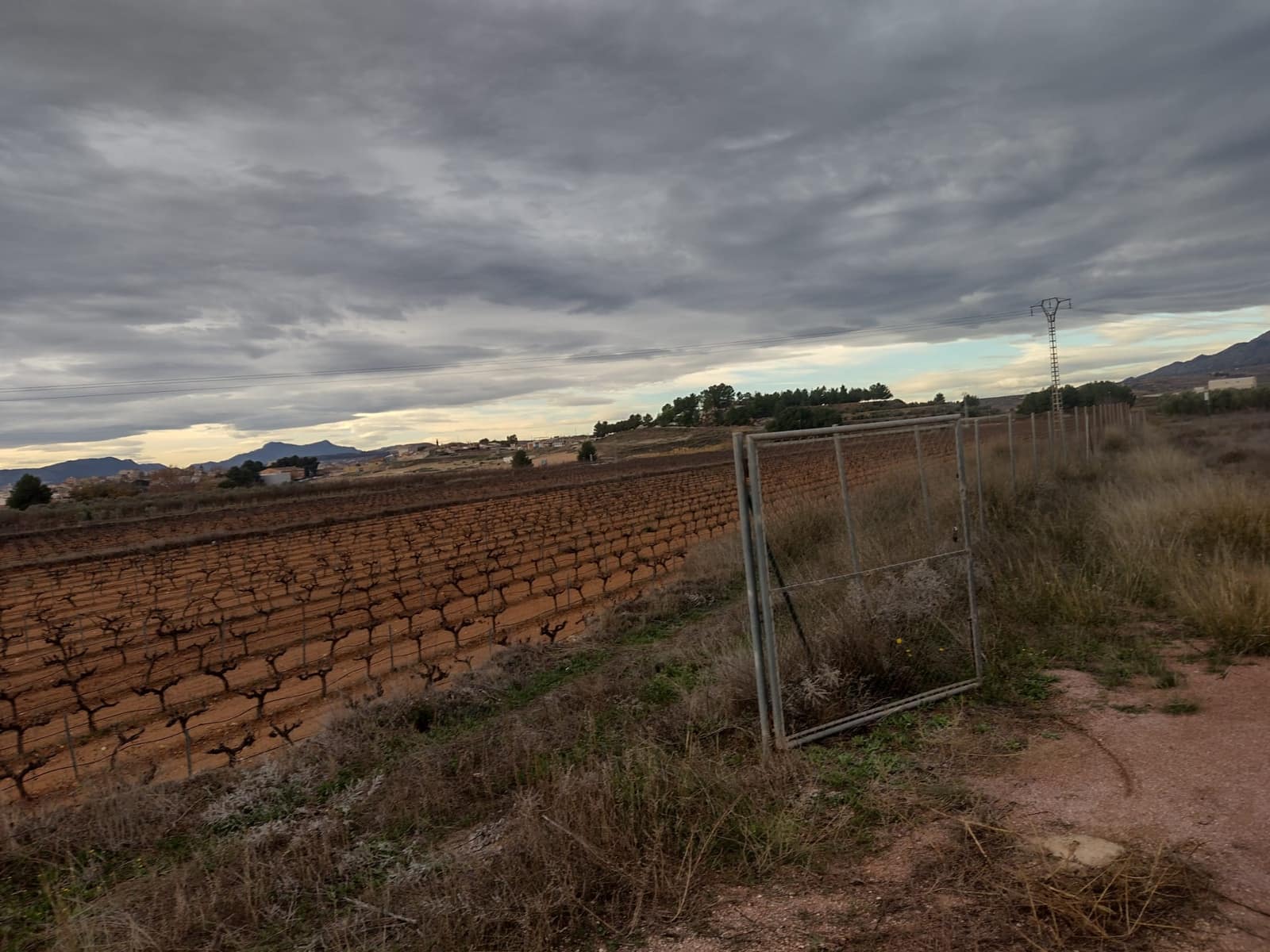 Undeveloped Land for sale in Pinoso - € 79,950 (Ref: 7344862)