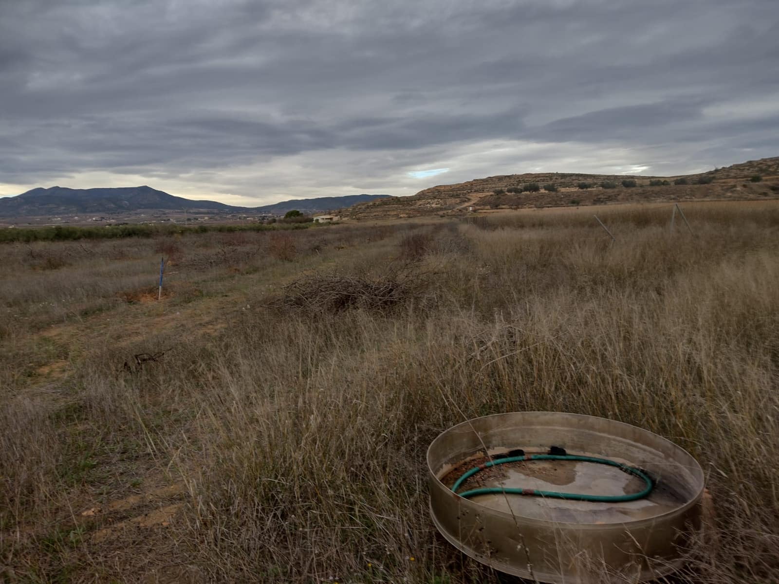 Undeveloped Land for sale in Pinoso - € 79,950 (Ref: 7344862)