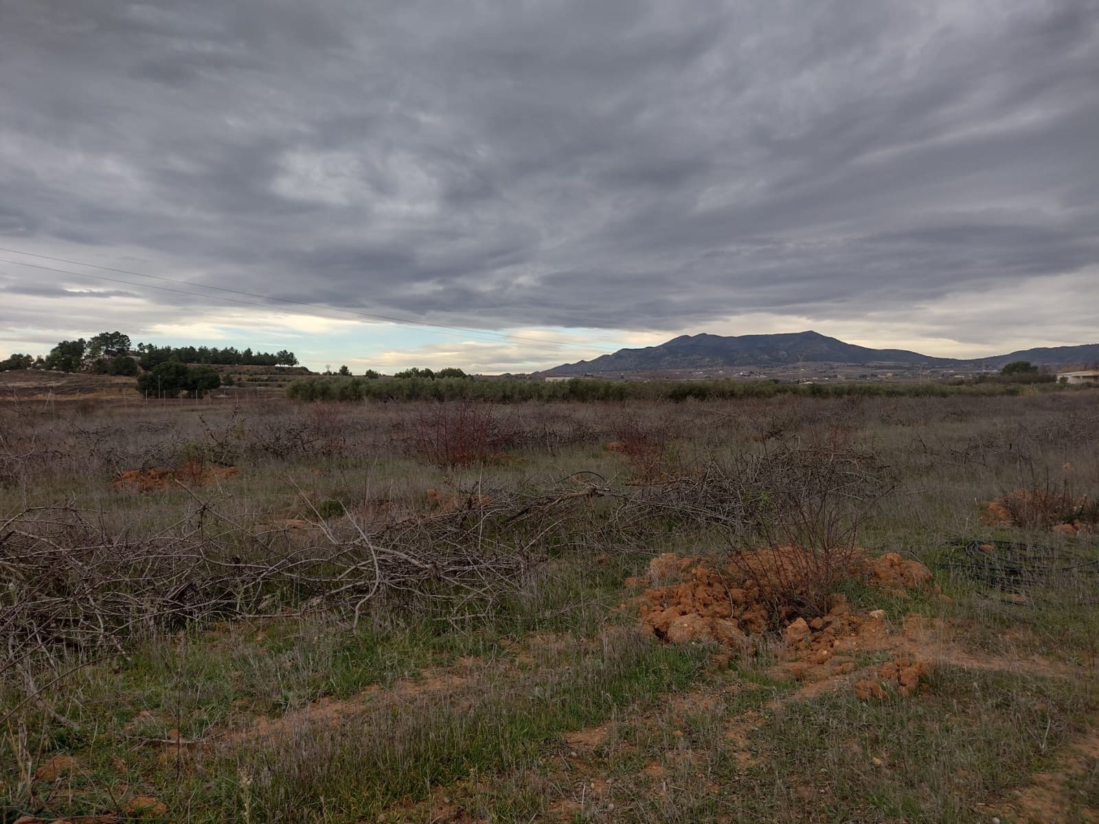Undeveloped Land for sale in Pinoso - € 79,950 (Ref: 7344862)