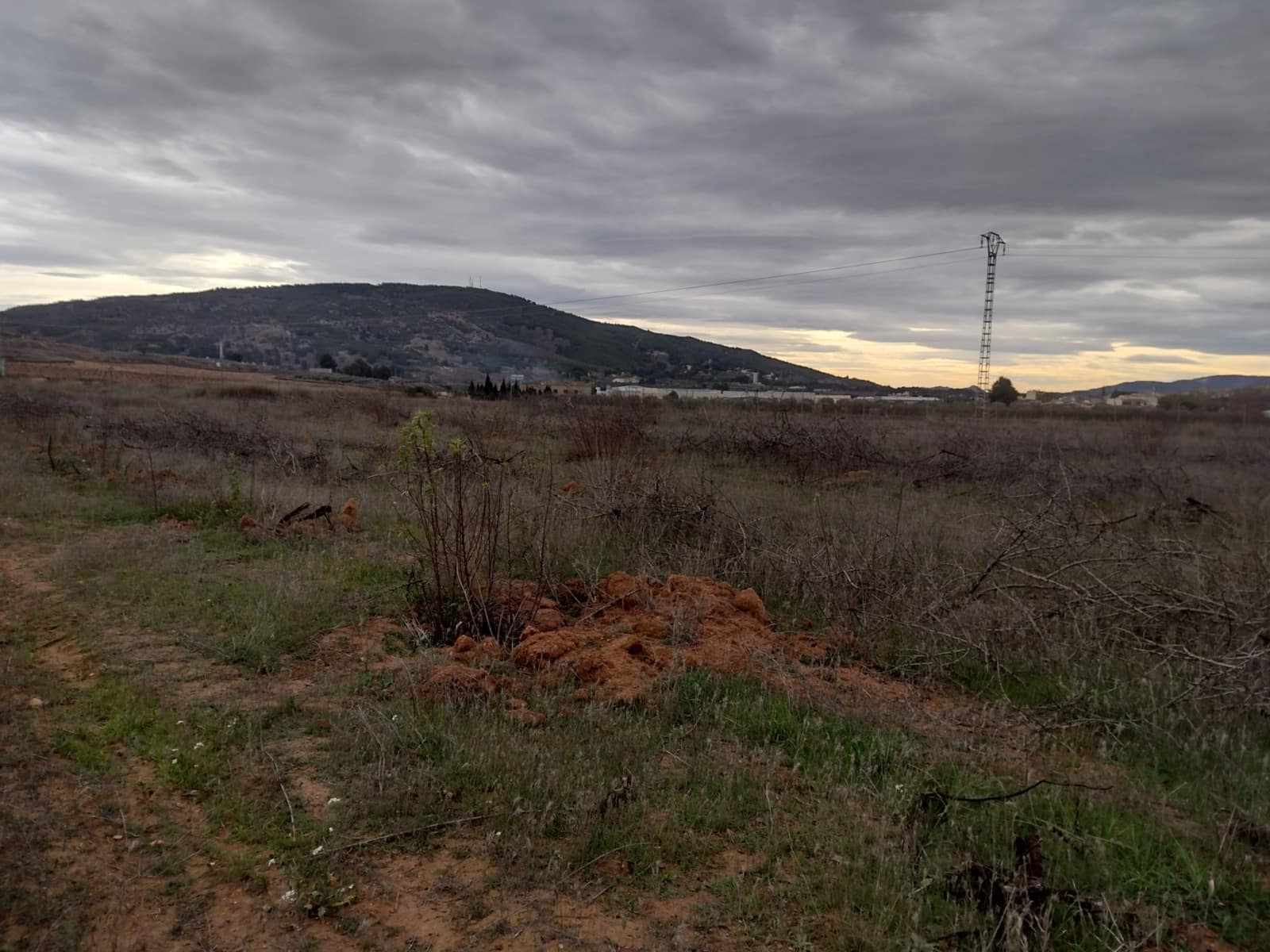 Undeveloped Land for sale in Pinoso - € 79,950 (Ref: 7344862)