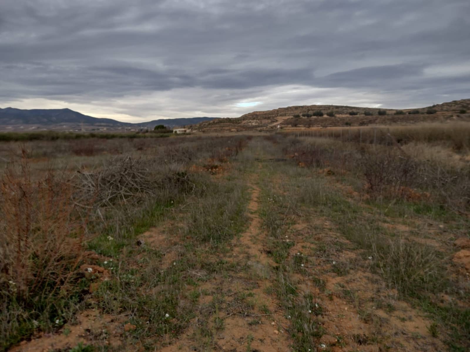 Undeveloped Land for sale in Pinoso - € 79,950 (Ref: 7344862)