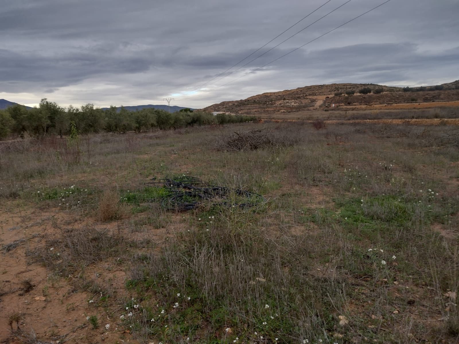 Undeveloped Land for sale in Pinoso - € 79,950 (Ref: 7344862)