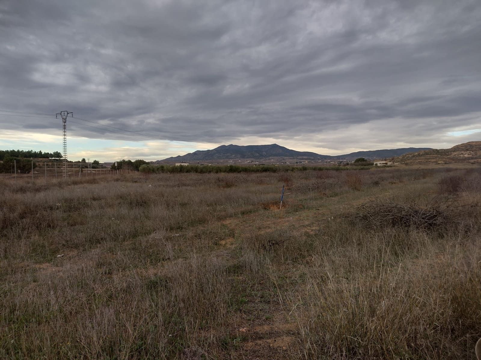 Undeveloped Land for sale in Pinoso - € 79,950 (Ref: 7344862)