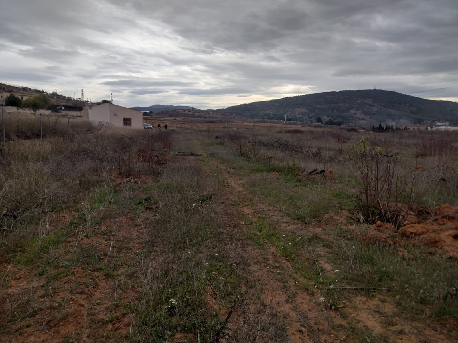 Undeveloped Land for sale in Pinoso - € 79,950 (Ref: 7344862)