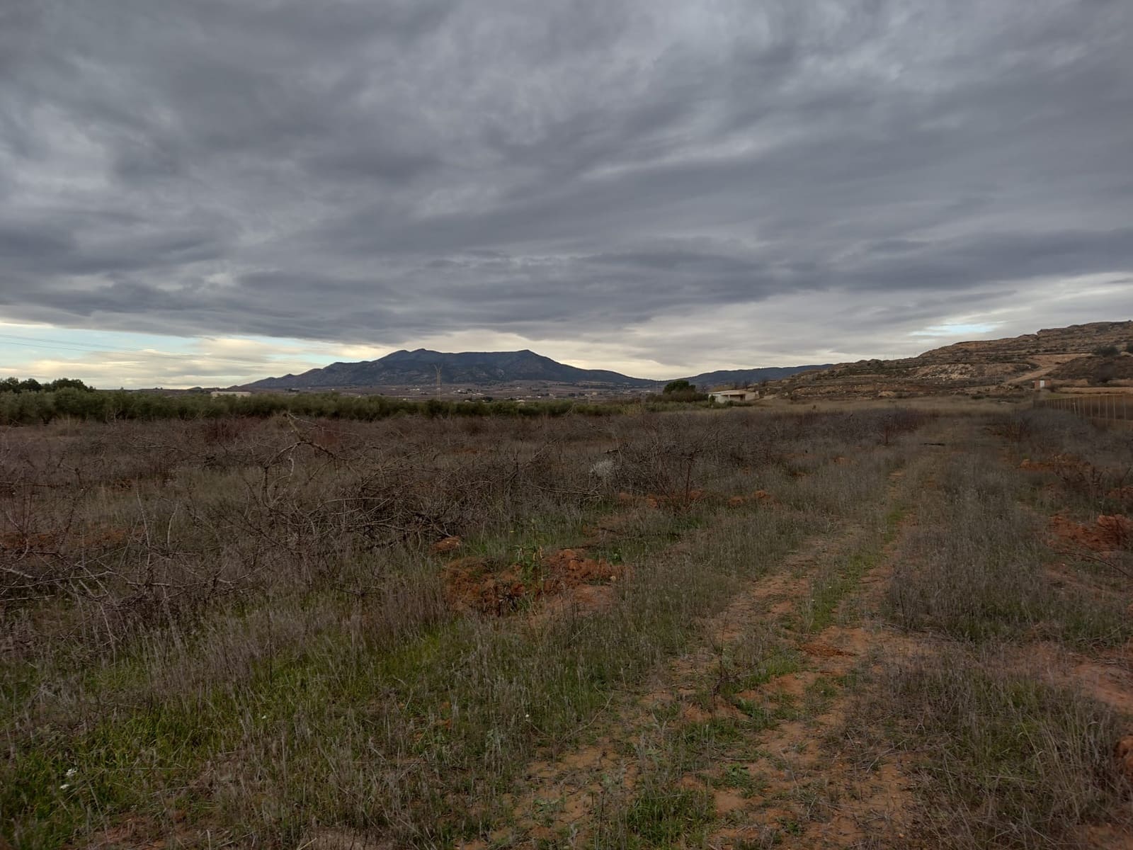 Undeveloped Land for sale in Pinoso - € 79,950 (Ref: 7344862)