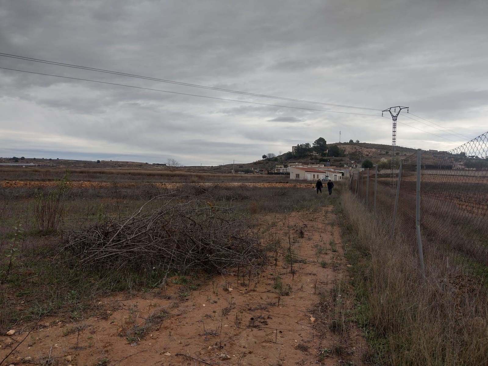 Undeveloped Land for sale in Pinoso - € 79,950 (Ref: 7344862)