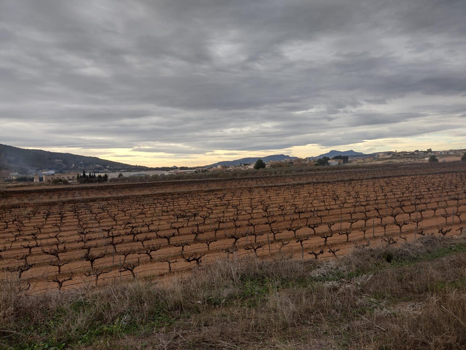 Undeveloped Land for sale in Pinoso - € 79,950 (Ref: 7344862)