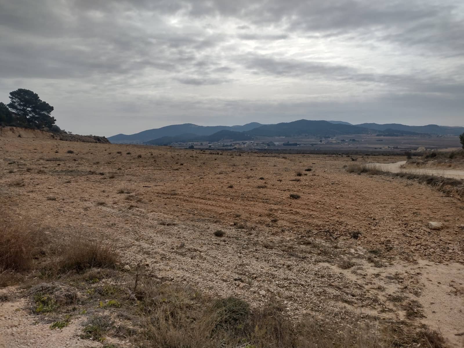 Grond te koop in Pinoso - € 31.000 (Ref: 7407943)