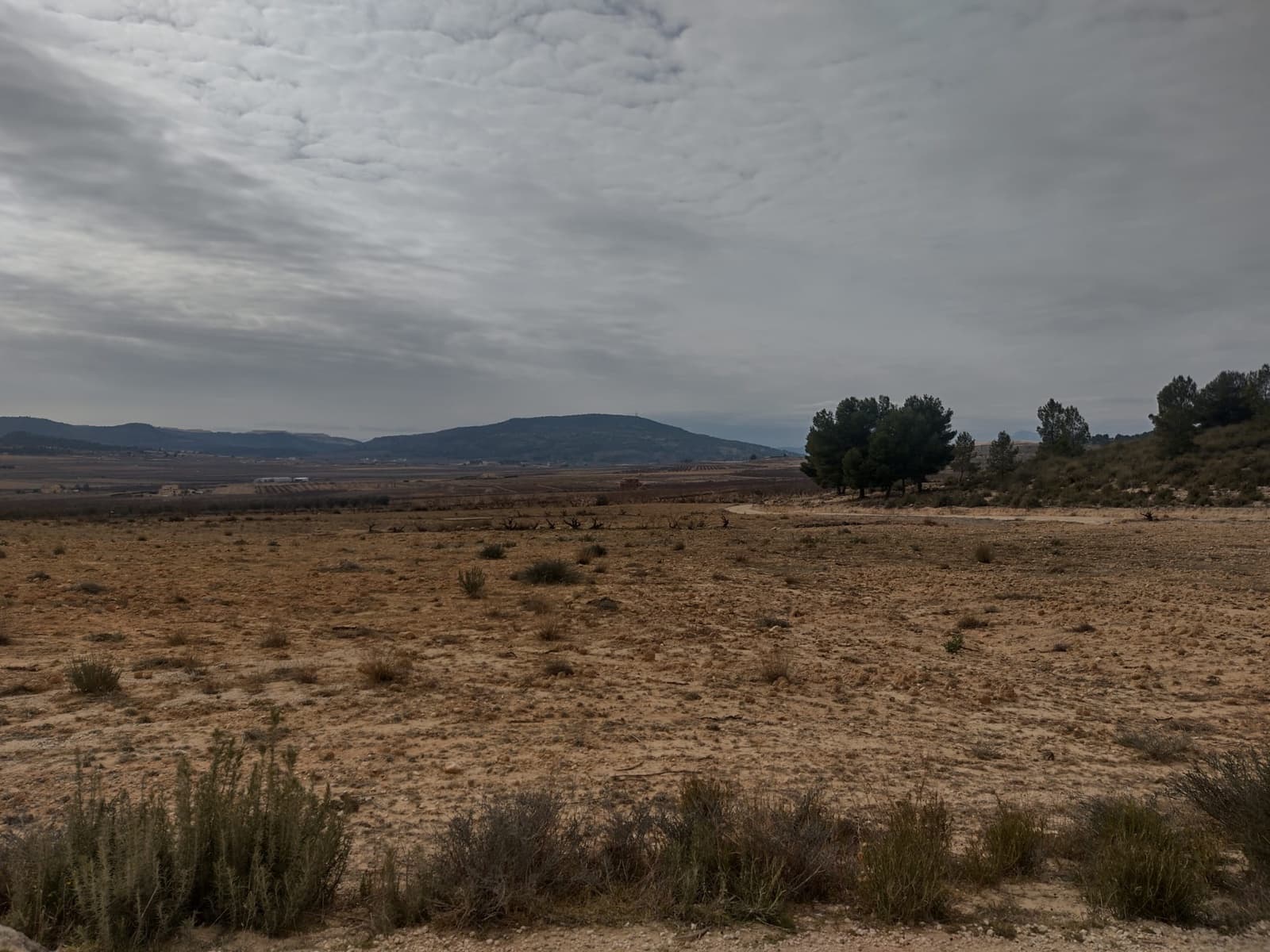 Grond te koop in Pinoso - € 31.000 (Ref: 7407943)