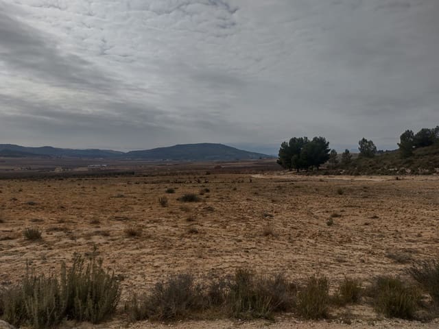 Grond te koop in Pinoso - € 31.000 (Ref: 7407943)