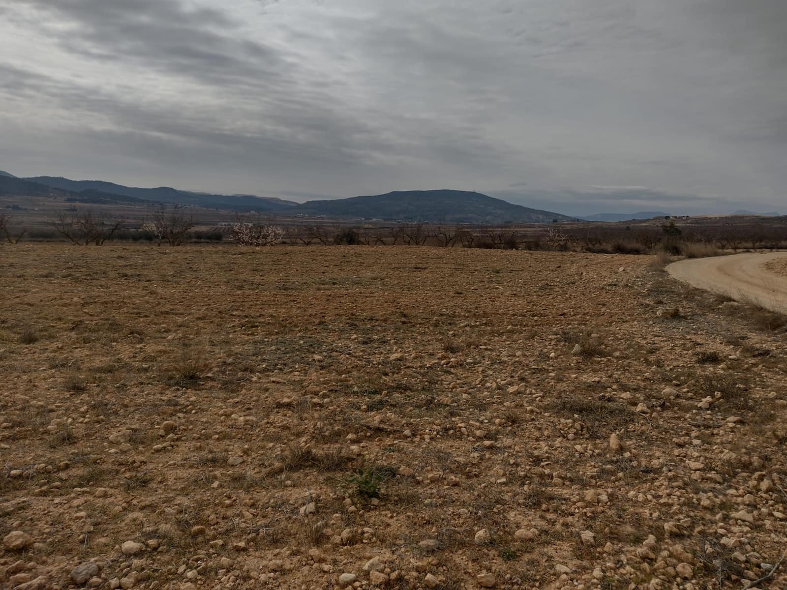 Grond te koop in Pinoso - € 31.000 (Ref: 7407943)