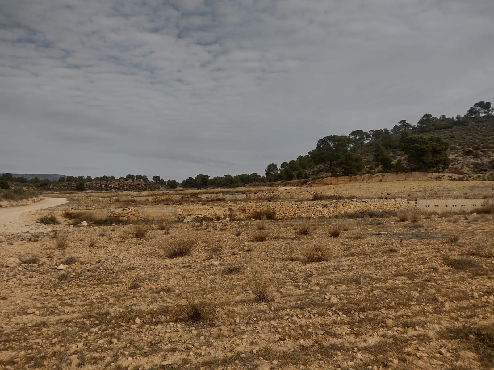 Grond te koop in Pinoso - € 31.000 (Ref: 7407943)