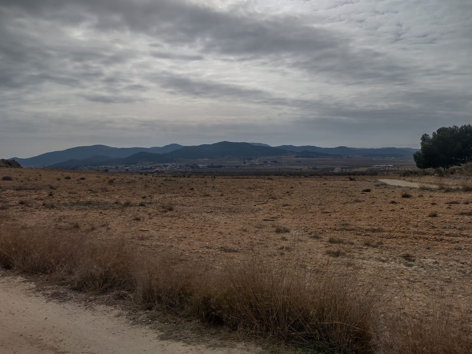 Grond te koop in Pinoso - € 31.000 (Ref: 7407943)