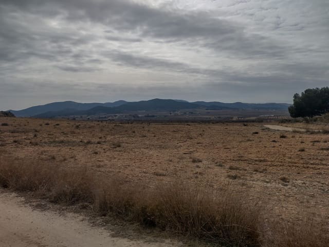 Grond te koop in Pinoso - € 31.000 (Ref: 7407943)