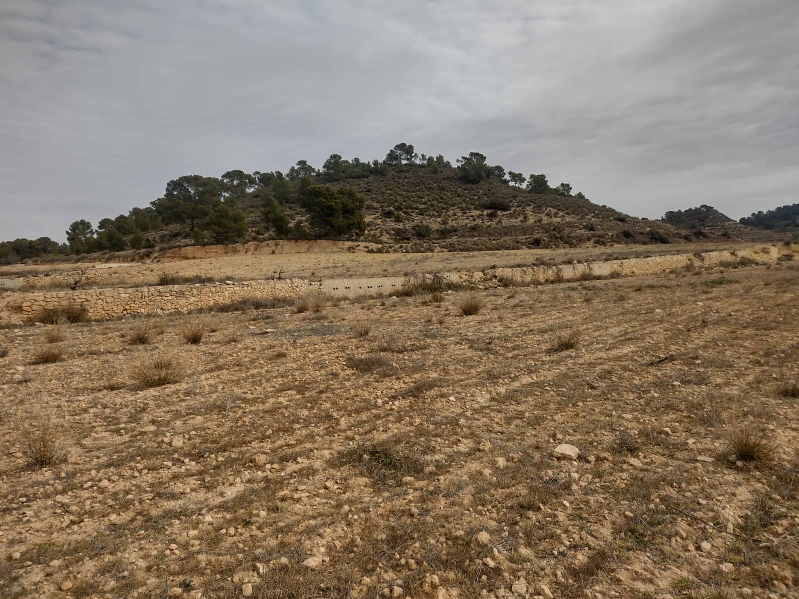 Grond te koop in Pinoso - € 31.000 (Ref: 7407943)