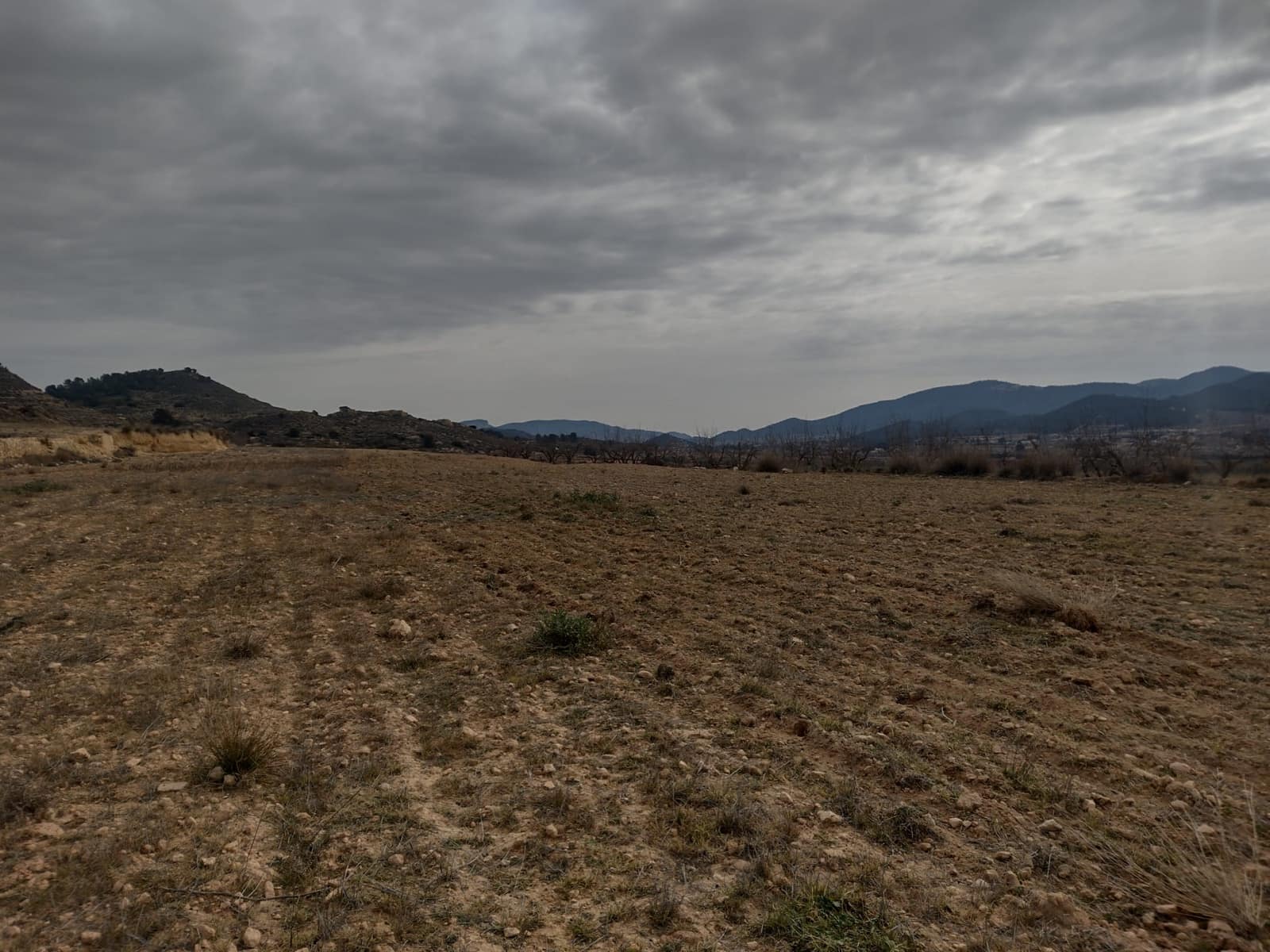 Grond te koop in Pinoso - € 31.000 (Ref: 7407943)