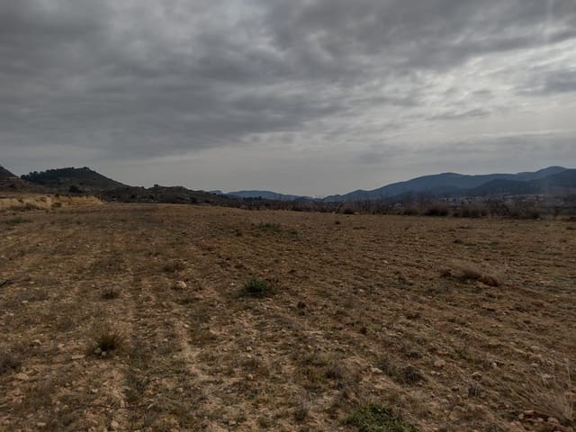 Grond te koop in Pinoso - € 31.000 (Ref: 7407943)