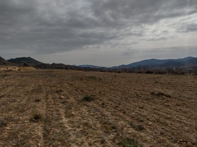 Undeveloped Land for sale in Pinoso - € 31,000 (Ref: 7407943)