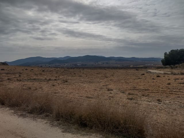 Undeveloped Land for sale in Pinoso - € 31,000 (Ref: 7407943)