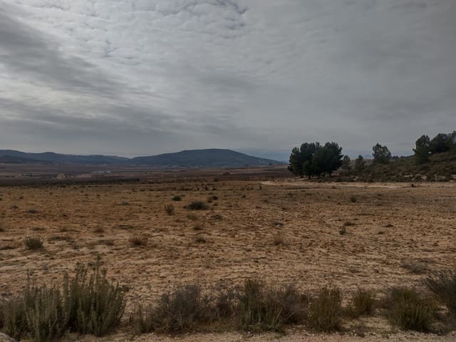 Undeveloped Land for sale in Pinoso - € 31,000 (Ref: 7407943)