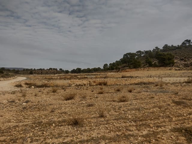 Undeveloped Land for sale in Pinoso - € 31,000 (Ref: 7407943)