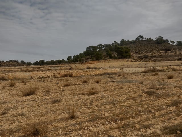 Undeveloped Land for sale in Pinoso - € 31,000 (Ref: 7407943)