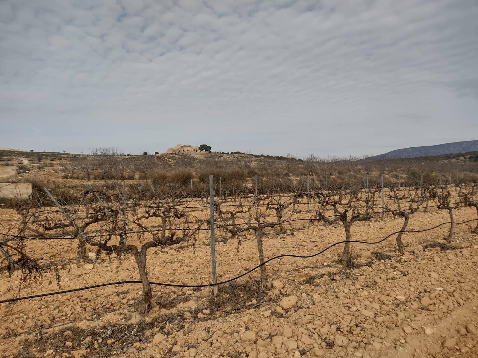 Grond te koop in Pinoso - € 28.000 (Ref: 7407944)