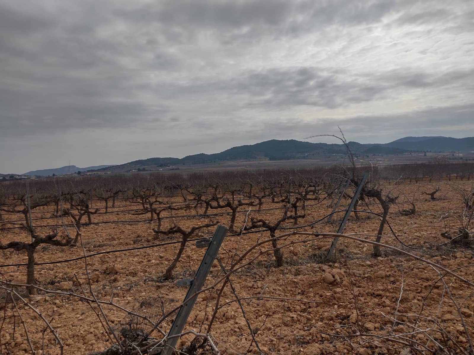 Grond te koop in Pinoso - € 28.000 (Ref: 7407944)