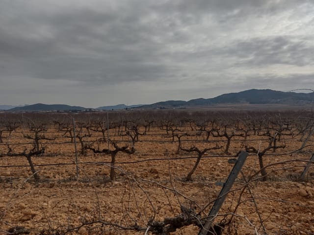 Grond te koop in Pinoso - € 28.000 (Ref: 7407944)