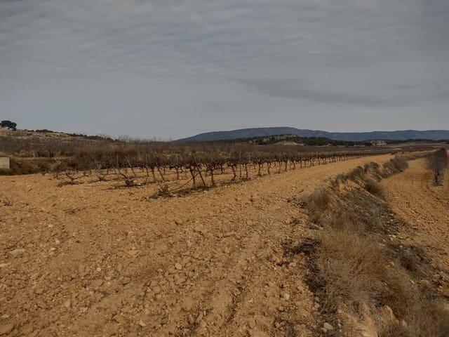 Grond te koop in Pinoso - € 28.000 (Ref: 7407944)