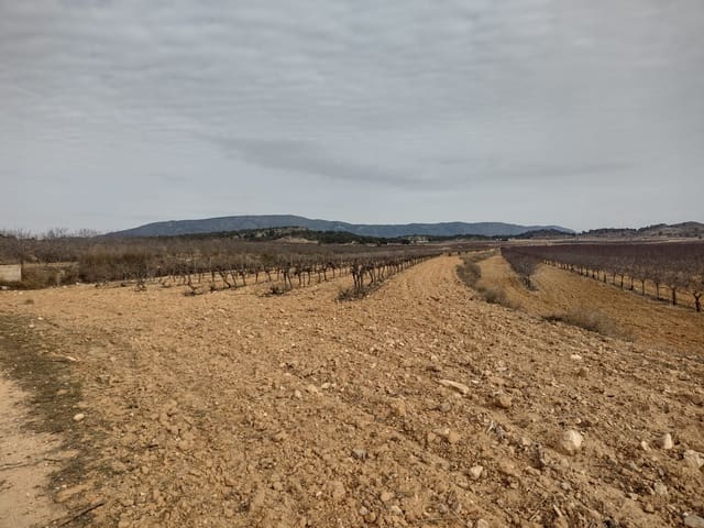 Terreno Non Edificato in vendita in Pinoso - 28.000 € (Rif: 7407944)