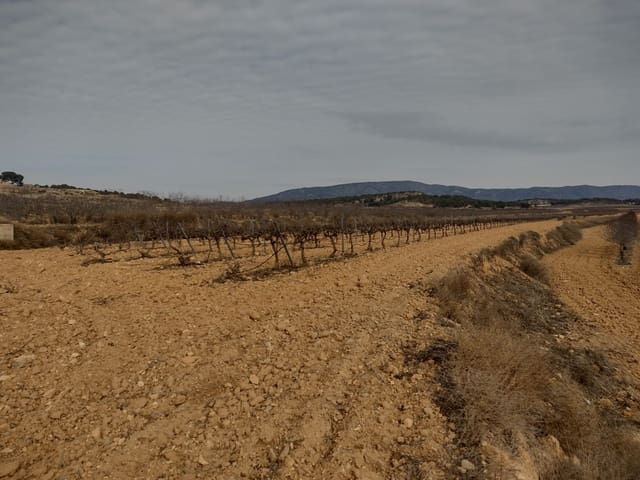 Terreno Non Edificato in vendita in Pinoso - 28.000 € (Rif: 7407944)