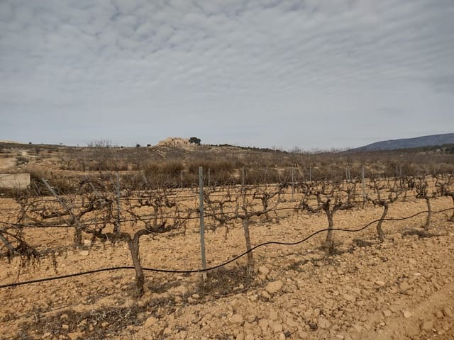 Terreno Non Edificato in vendita in Pinoso - 28.000 € (Rif: 7407944)