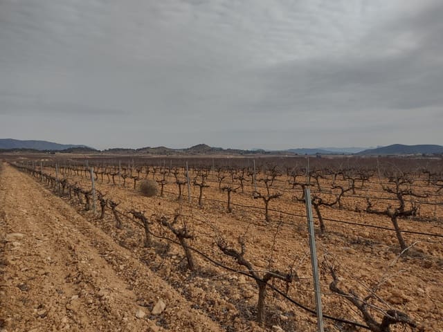 Terreno Non Edificato in vendita in Pinoso - 28.000 € (Rif: 7407944)