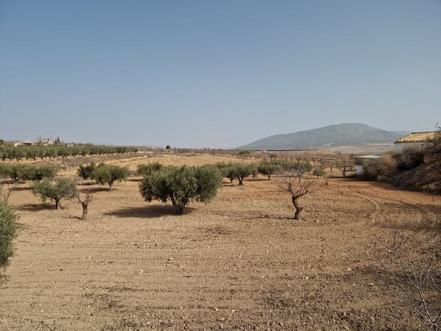 3 bedroom Cave House for sale in Raspay, Yecla with pool - € 75,000 (Ref: 7418951)