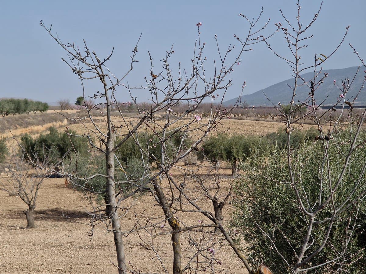 3 soveværelse Hulehus til salg i Raspay med swimmingpool - € 75.000 (Ref: 7418951)